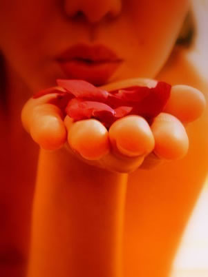 blowing-rosepetals.jpg