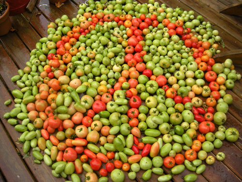 peace-love-and-tomatoes.jpg