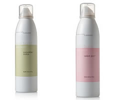 Bath and Body Works Foam Burst