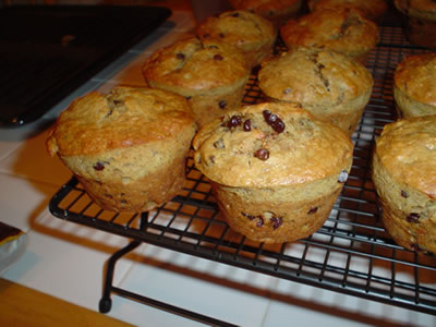 Banana Chocolate Chip Muffins