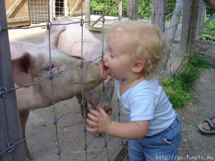 Kiss