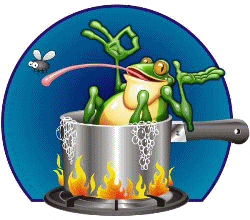 Frog in Hot Water