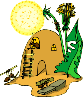 ant hill